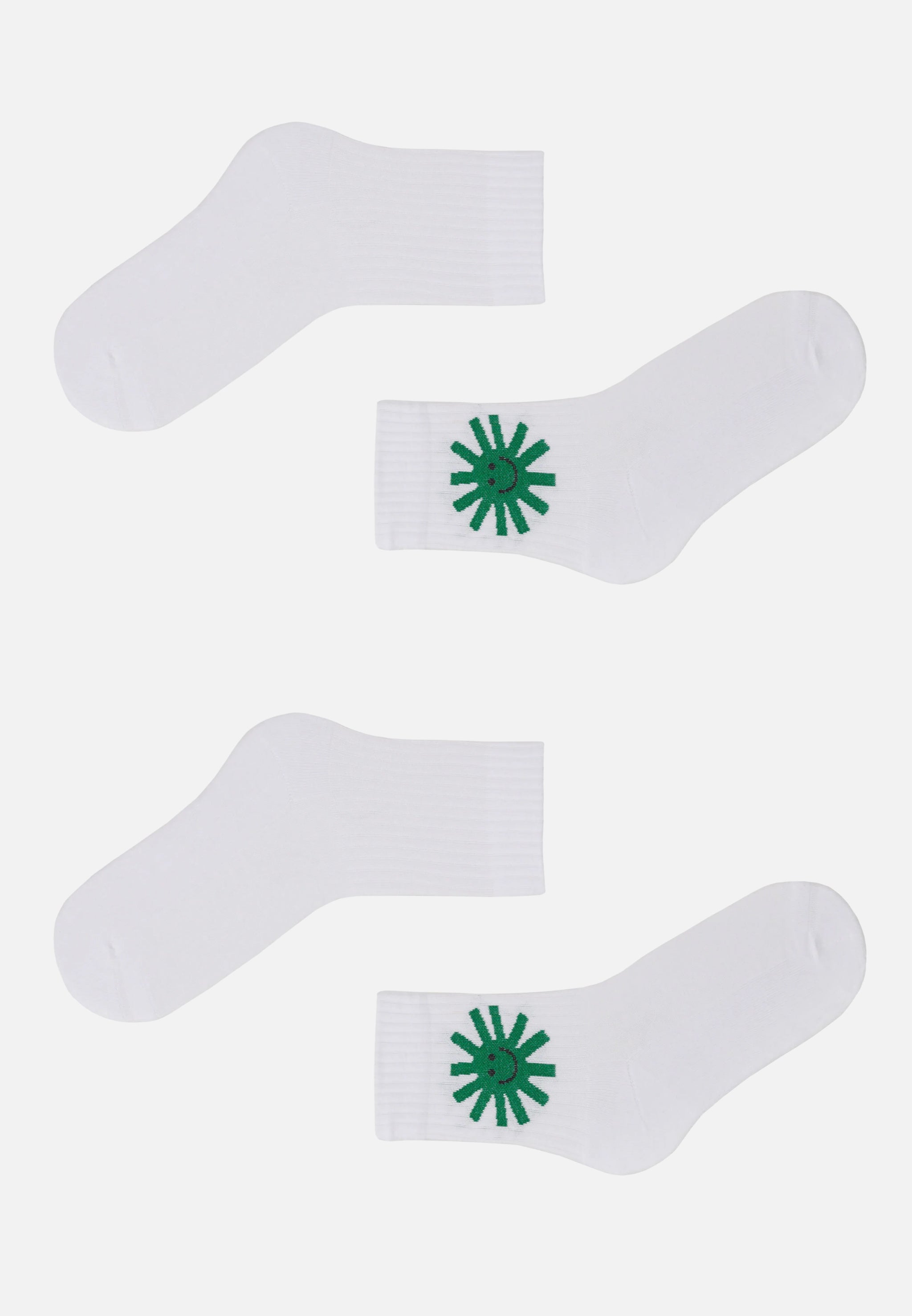 2-PACK BERGENIA SUN SMILE