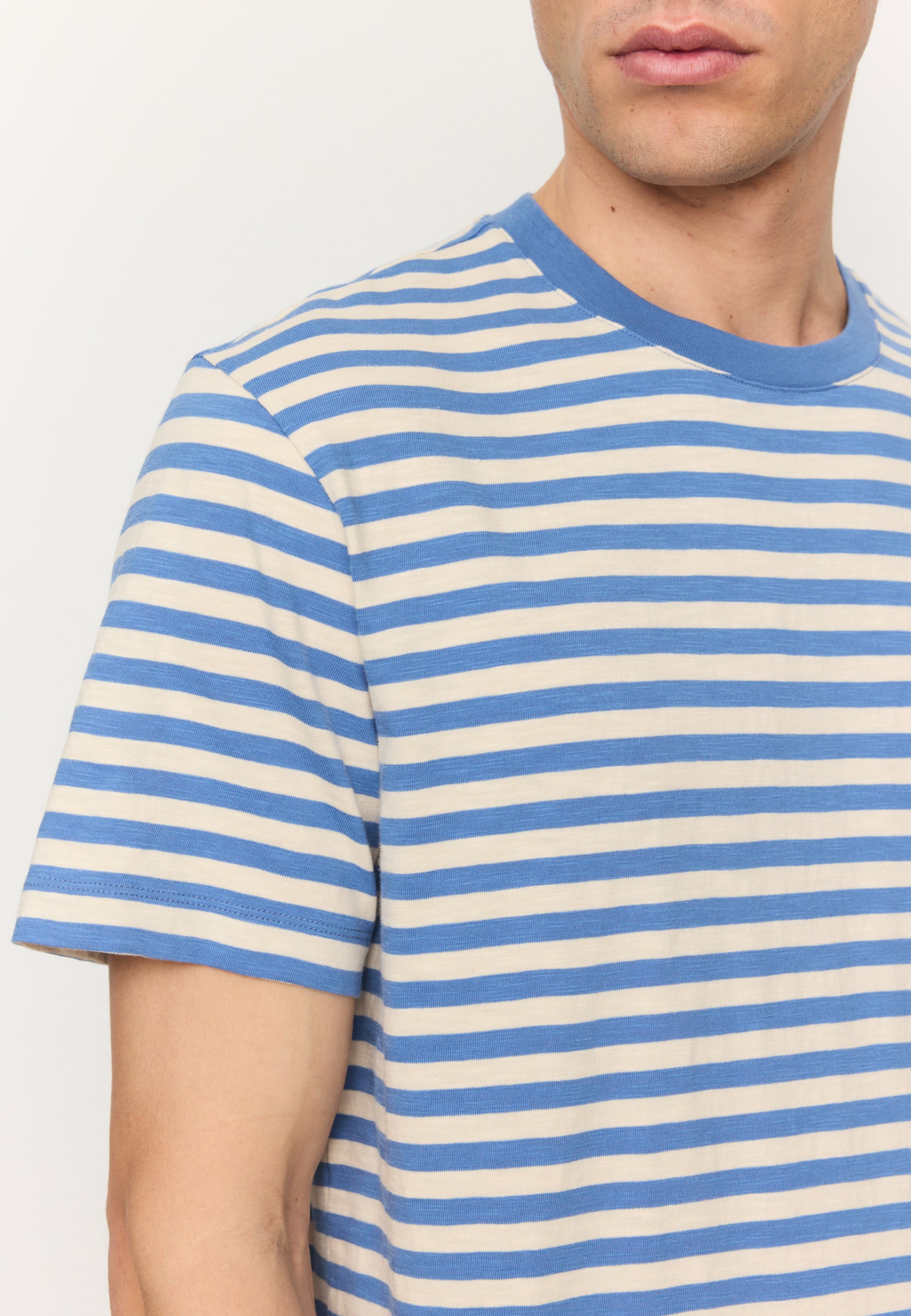 DELONIX STRIPES