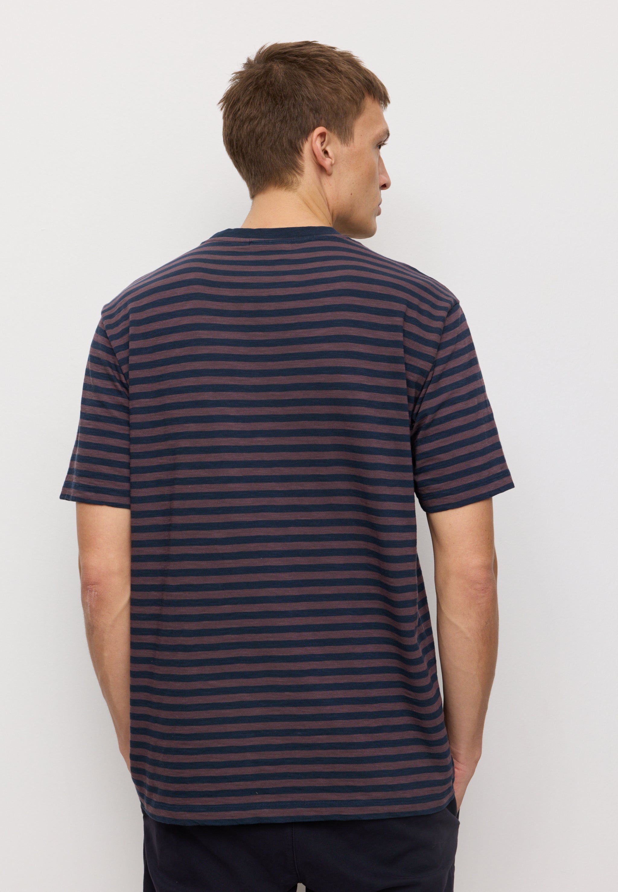 DELONIX STRIPES