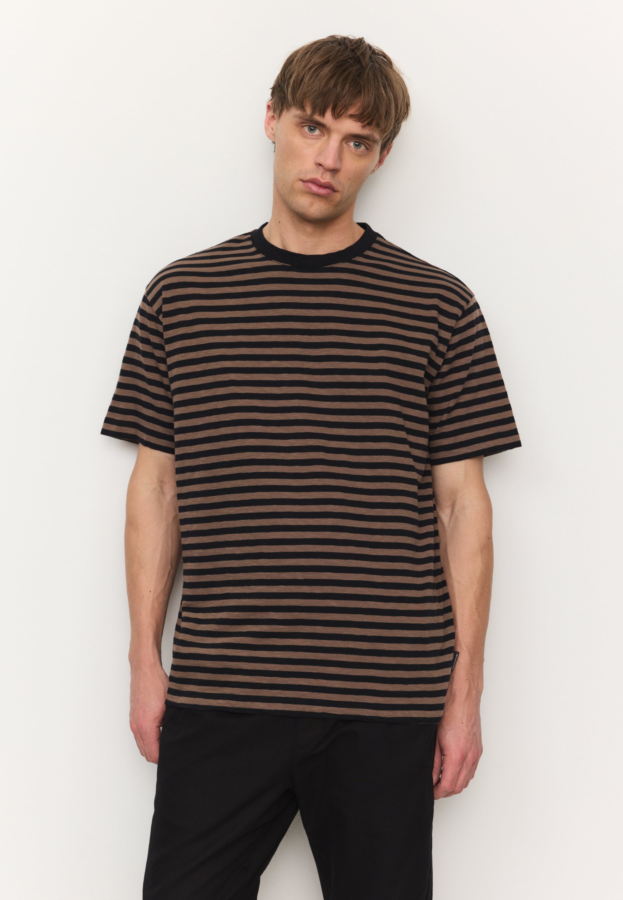 DELONIX STRIPES