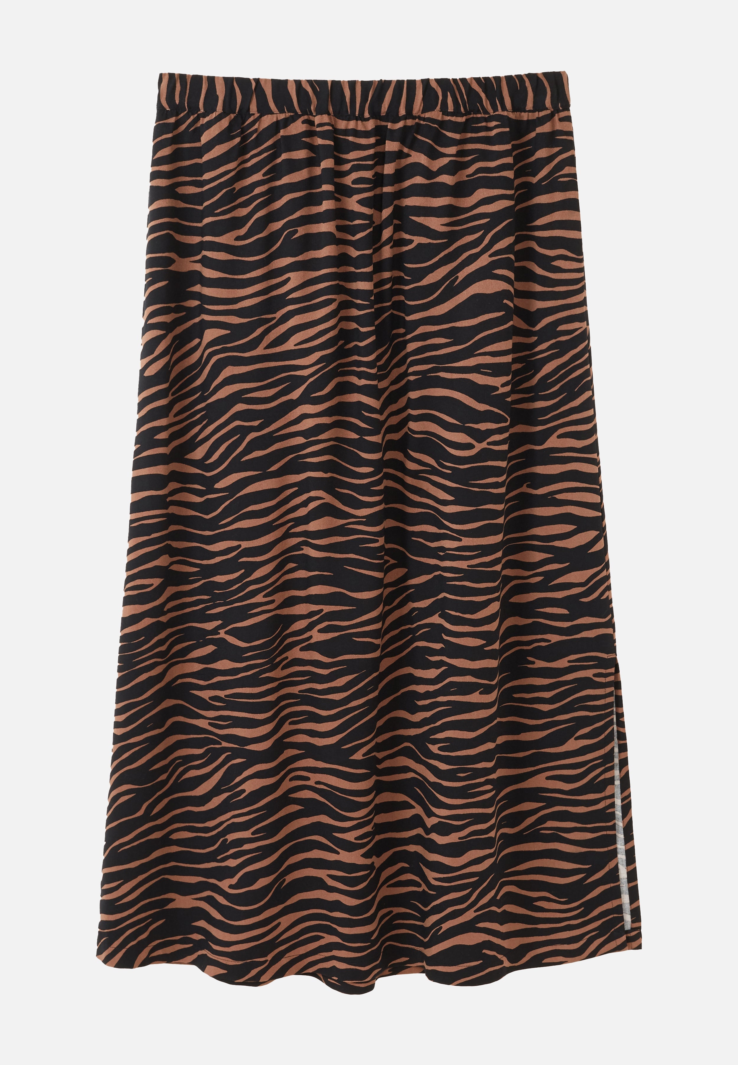 HOLLY ZEBRA