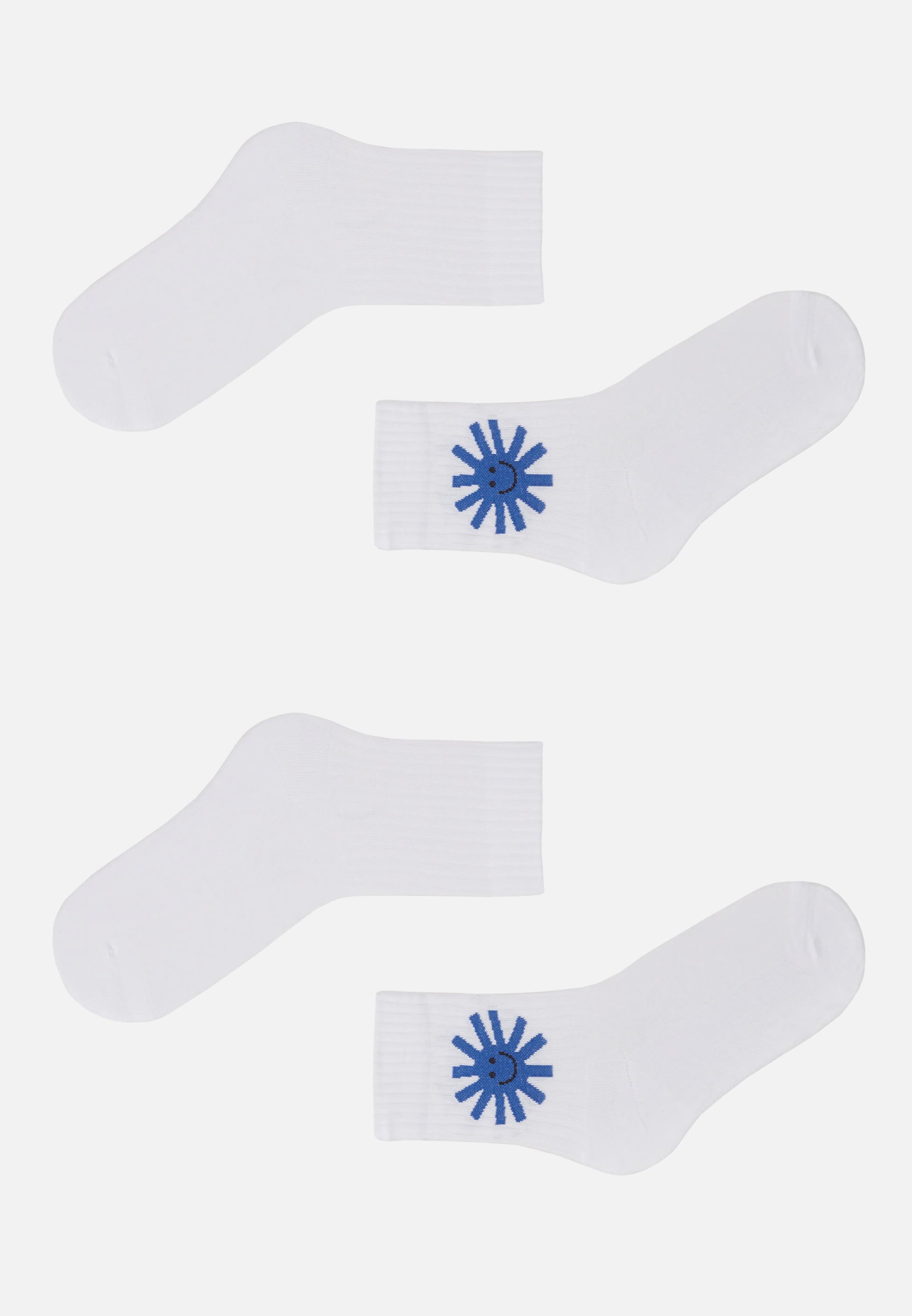 2-PACK BERGENIA SUN SMILE