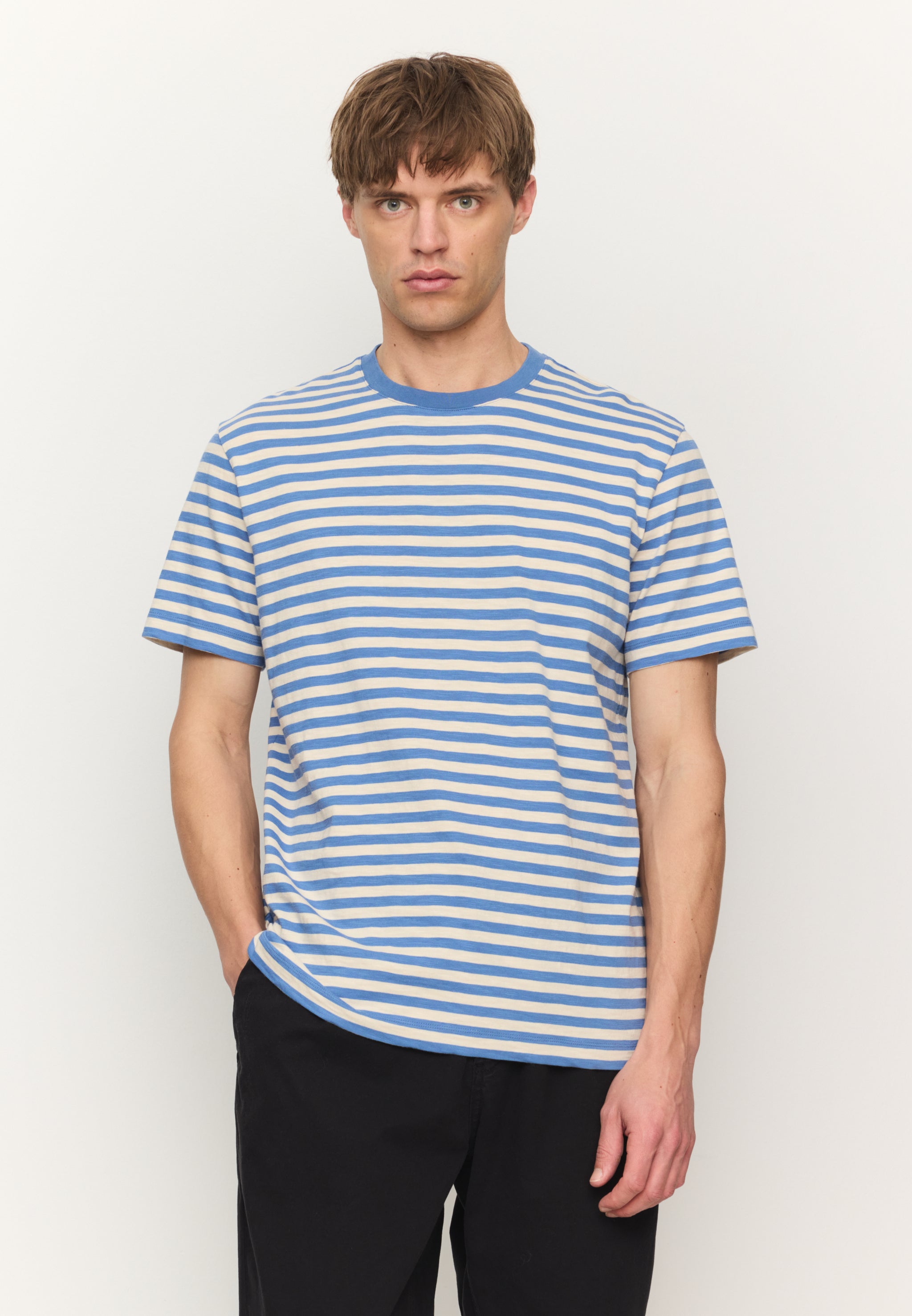 DELONIX STRIPES
