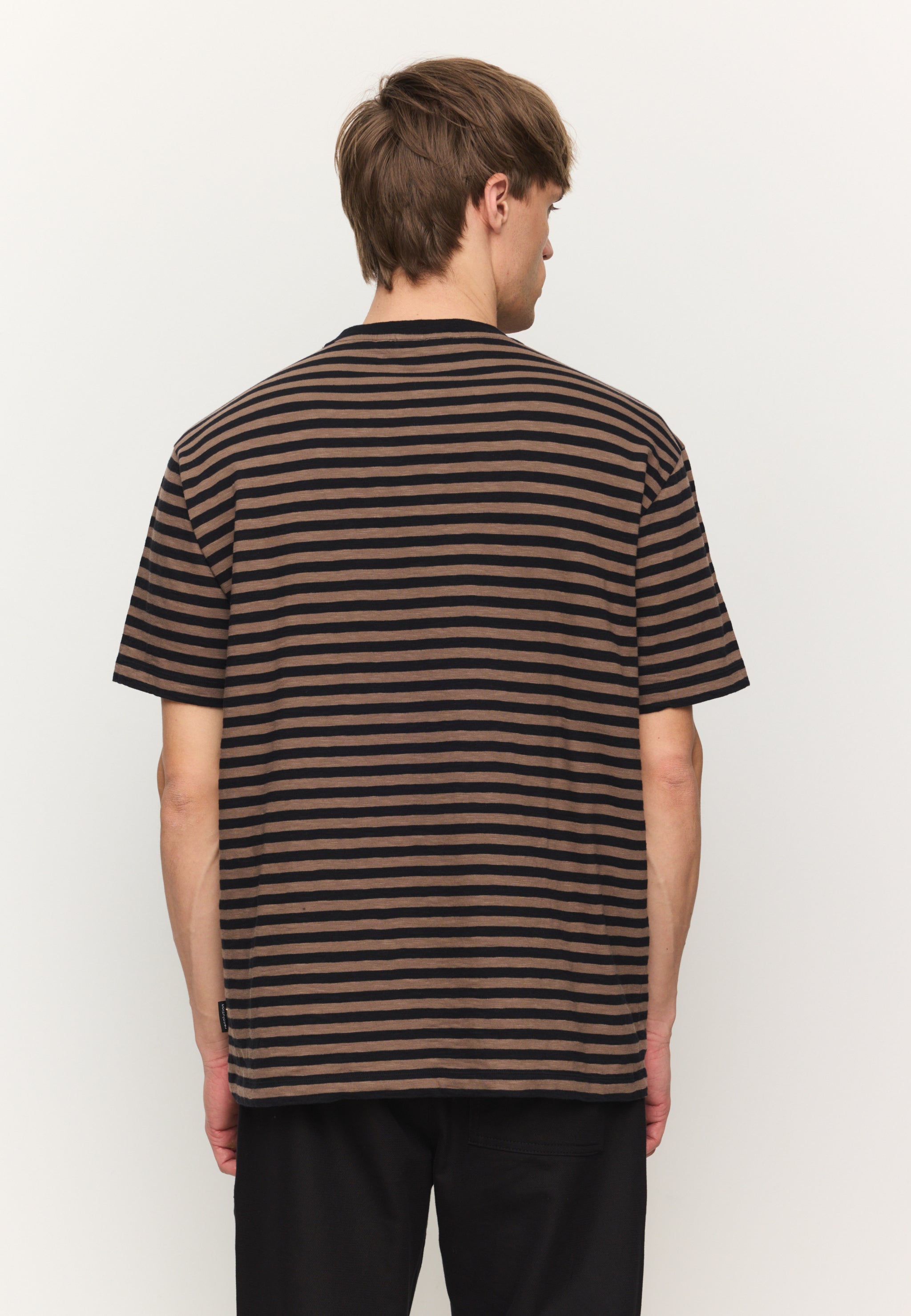 DELONIX STRIPES